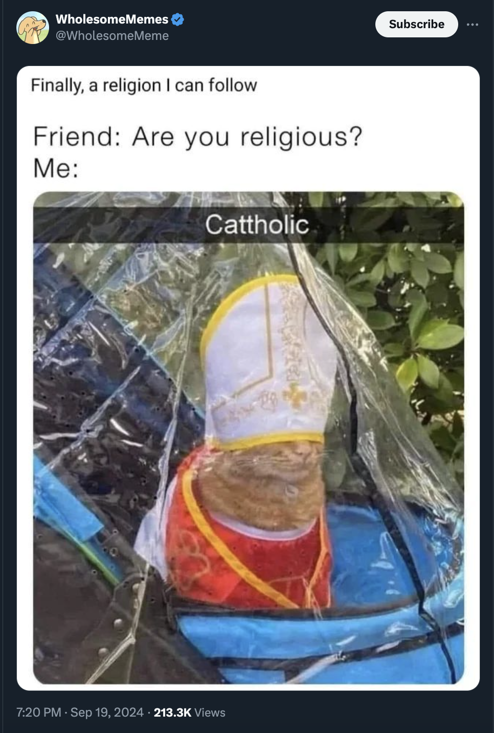 screenshot - WholesomeMemes Finally, a religion I can Friend Are you religious? Me Cattholic Views Subscribe